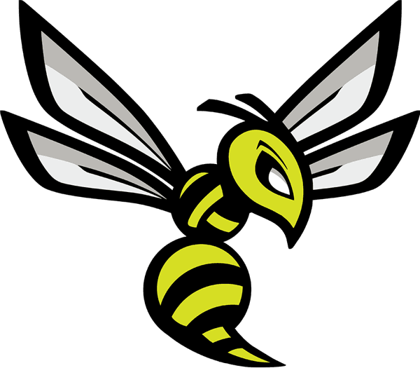 Kinetika Hornets